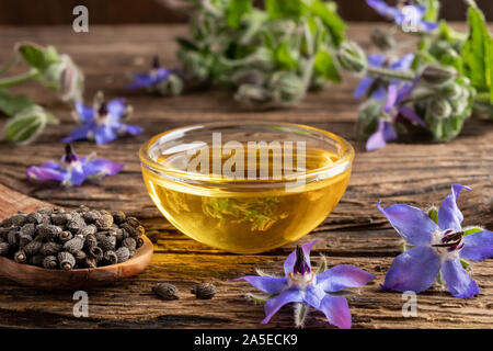 Una coppa di olio di borragine con semi e fiori Foto Stock