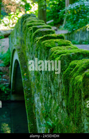 Scena romantica di un antico ponte di pietra e il flusso di acqua in Jesmond Dene park un pomeriggio estivo a Newcastle-upon-Tyne, Regno Unito Foto Stock