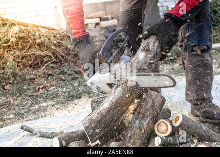 Professional chainsaw tagli firewoods Foto Stock