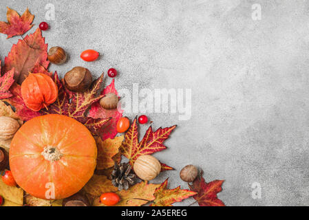 Felice concetto del Ringraziamento. Composizione di autunno con arancione zucca, caduta foglie, fiori secchi, frutti di bosco e i dadi sulla tabella di calcestruzzo. Piatto, laici vista superiore Foto Stock