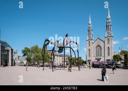 La cattedrale di Notre Dame e Maman spider scultura in Ottawa, Ottawa, Ontario Foto Stock