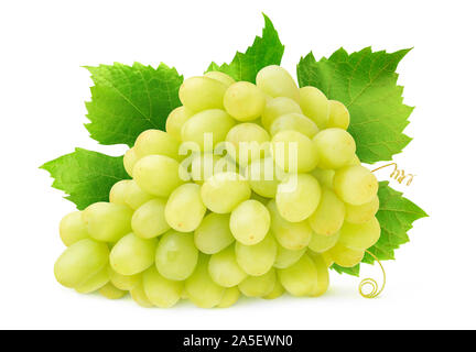 Isolato di uve bianche. Mazzetto di Thompson Seedless uve con foglie e viticci isolato su sfondo bianco con tracciato di ritaglio Foto Stock