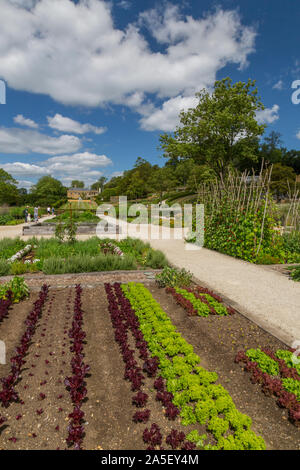 Il giardino vegetale nel restaurato recentemente 'Il Tritone in Somerset' giardino e hotel, nr Bruton, England, Regno Unito Foto Stock