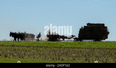 Lavori agricoli nel Paese Amish Foto Stock