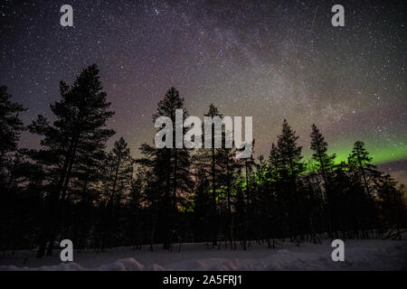 Luci del nord durante l'inverno paesaggio forestale, Lapponia, Finlandia Foto Stock