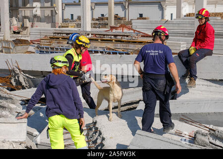 (191020) -- JASTREBARSKO (Croazia), 20 ott. 2019 (Xinhua) -- un cane di salvataggio è visto nel corso di una missione internazionale di test di idoneità per i cani in Jastrebarsko, Croazia, 20 ott. 2019. La prova ha visto la partecipazione di squadre provenienti da tutta Europa. (Tomislav Miletic/Pixsell via Xinhua) Foto Stock