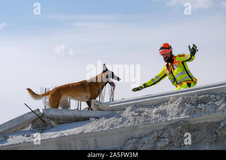 (191020) -- JASTREBARSKO (Croazia), 20 ott. 2019 (Xinhua) -- un cane di salvataggio è visto nel corso di una missione internazionale di test di idoneità per i cani in Jastrebarsko, Croazia, 20 ott. 2019. La prova ha visto la partecipazione di squadre provenienti da tutta Europa. (Tomislav Miletic/Pixsell via Xinhua) Foto Stock