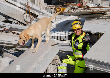 (191020) -- JASTREBARSKO (Croazia), 20 ott. 2019 (Xinhua) -- un cane di salvataggio è visto nel corso di una missione internazionale di test di idoneità per i cani in Jastrebarsko, Croazia, 20 ott. 2019. La prova ha visto la partecipazione di squadre provenienti da tutta Europa. (Tomislav Miletic/Pixsell via Xinhua) Foto Stock