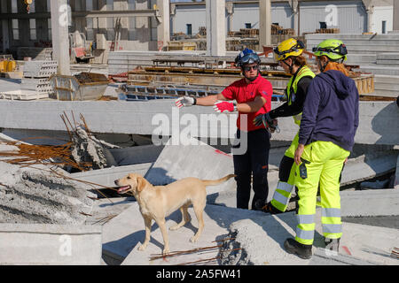 (191020) -- JASTREBARSKO (Croazia), 20 ott. 2019 (Xinhua) -- un cane di salvataggio è visto nel corso di una missione internazionale di test di idoneità per i cani in Jastrebarsko, Croazia, 20 ott. 2019. La prova ha visto la partecipazione di squadre provenienti da tutta Europa. (Tomislav Miletic/Pixsell via Xinhua) Foto Stock