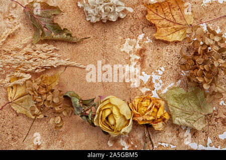 Asciugare le foglie e i fiori su uno sfondo a trama Foto Stock