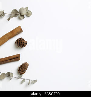 Decorazione d'autunno. Asciugare pigna, foglie, cannella su sfondo bianco Foto Stock