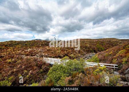 Ponte di Tongariro Circuito Nord, Nuova Zelanda grande passeggiate, vulcano Monte Tongariro e Monte Ngauruhoe, parco nazionale di Tongariro, Isola del nord Foto Stock