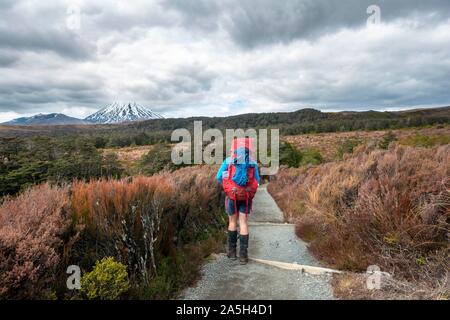 Gli escursionisti sul sentiero escursionistico Tongariro Circuito Nord, Nuova Zelanda grande passeggiate, vulcano Monte Tongariro e Monte Ngauruhoe, parco nazionale di Tongariro Foto Stock