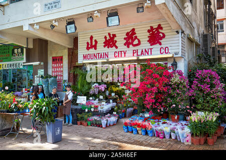 Houseplants per la vendita al mercato dei fiori Road. Kowloon, Hong Kong, Cina. Foto Stock