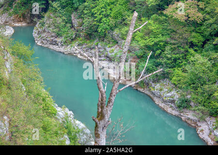 Vista aerea del fiume Tara e scogliere Foto Stock