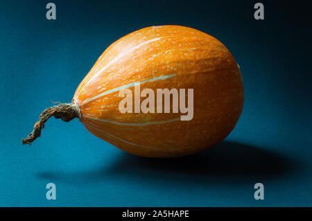 La zucca ancora vita close up su sfondo blu. Messa a fuoco selettiva Foto Stock