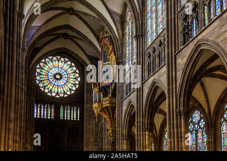 La navata e il rosone della cattedrale di Notre Dame a Strasburgo, Francia, illuminato dalla luce solare con la sospensione di organi della tubazione sulla destra. Foto Stock