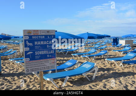 Segno pubblicità lettini e ombrelloni a noleggio su Playa Levante di Benidorm, Provincia di Alicante, Spagna Foto Stock