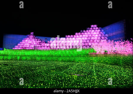 Nabana no Sato Flower Garden, illuminazione invernale 2020. 'Sakura' tema. Attrazioni di Nagoya. Foto Stock