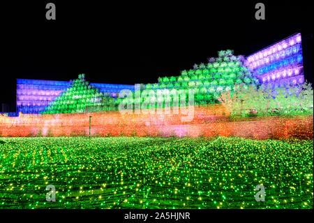 Nabana no Sato Flower Garden, illuminazione invernale 2020. 'Sakura' tema. Attrazioni di Nagoya. Foto Stock