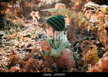 Poco caucasian bambina accovacciata nella foresta tra le felci gioca con piante Foto Stock