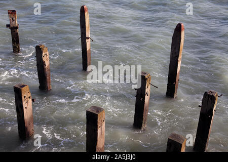 Parecchi marciume posti di legno sporgono dal letto del mare, una volta utilizzata per contenere fino a Hastings Pier, 2019 Foto Stock