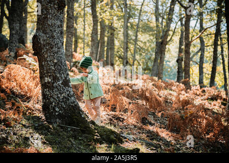 Bambina indossa un cappello di lana in una foresta di autunno tra le felci gioca con piante Foto Stock