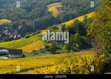 Vigneti a Andlau in Alsazia in Francia Foto Stock