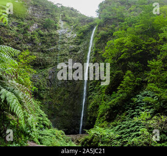 "Caldeirao Verde' una cascata su sentiero di 'Caldeira Verde", l'isola di Madeira, Portogallo Foto Stock