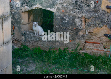 Castello di Denia è una icona della città e devono visitare il sito web Foto Stock