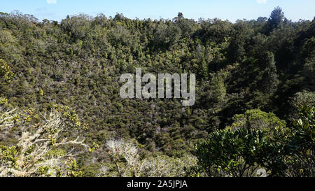 Rangitoto Island (Riserva Paesaggistica) vicino Auckland in Nuova Zelanda Foto Stock