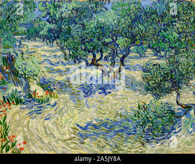 Vincent van Gogh, campi di olivi, Oliveto, la pittura di paesaggio, 1889 Foto Stock