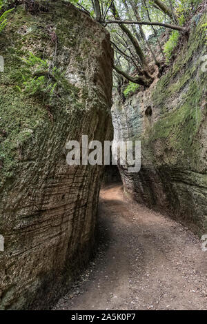 Nella necropoli etrusca nei pressi di Sovana, a sud della Toscana, Italia. La Via Cava (via cavo o sunken road) Poggio Prisca scavate nella roccia Foto Stock