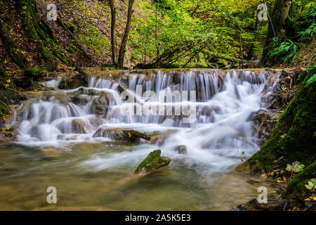 Germania, incredibili piccole cascate nel folto verde della giungla come Giura svevo foresta paesaggio naturale tra moss coperto tronchi di alberi e rocce Foto Stock