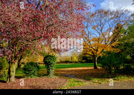 In autunno gli alberi & fogliame in Stonegrove Park, Edgware, a nord-ovest di Londra. Foto Stock