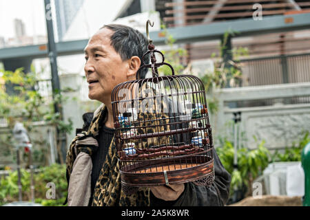Gli appassionati di bird mostrare loro uccelli esotici al Po Yuen Street Bird Garden di Mong Kok, Kowloon, Hong Kong. Foto Stock