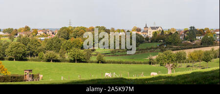 Tipica campagna olandese Zuid Limburg, con colline di Limburgo meridionale, Ubachsberg,Voerendaal, Paesi Bassi, Europa Foto Stock