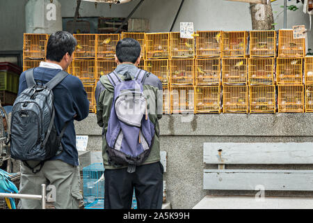Gli uomini cinesi shop per uccelli canori in tradizionali gabbie di bambù in vendita presso il Po Yuen Street Bird Garden di Mong Kok, Kowloon, Hong Kong. Foto Stock