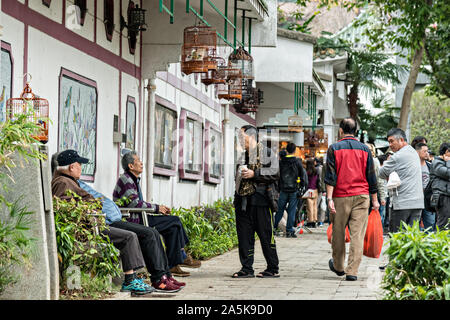 Gli uomini cinesi socializzare con loro uccelli canori a Yuen Po Street Bird Garden di Mong Kok, Kowloon, Hong Kong. Foto Stock