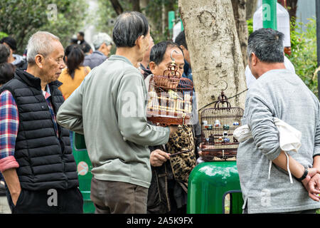 Gli uomini cinesi socializzare con loro uccelli canori a Yuen Po Street Bird Garden di Mong Kok, Kowloon, Hong Kong. Foto Stock