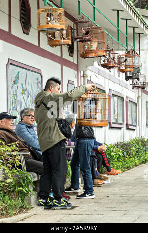 Gli uomini cinesi socializzare con loro uccelli canori a Yuen Po Street Bird Garden di Mong Kok, Kowloon, Hong Kong. Foto Stock