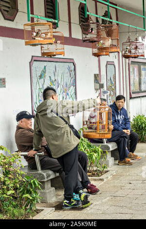 Gli uomini cinesi socializzare con loro uccelli canori a Yuen Po Street Bird Garden di Mong Kok, Kowloon, Hong Kong. Foto Stock