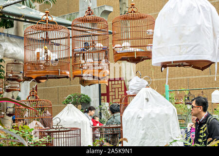 Uccelli canori in tradizionali gabbie di bambù al Po Yuen Street Bird Garden di Mong Kok, Kowloon, Hong Kong. Foto Stock