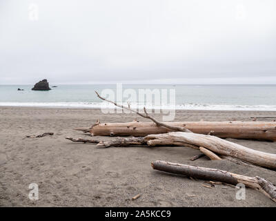 Driftwood sulla spiaggia di Point Reyes National Seashore Foto Stock