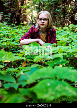 Giovane ragazzo accovacciato in campo di trifoglio nella Foresta di Redwood Foto Stock