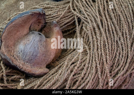 Rotture di noce di cocco e corda di cocco, sfondo naturale, di consistenza Foto Stock