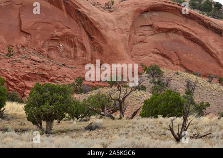 Il gufo gli occhi di pietra arenaria rossa Tecolote (Owl) Mesa, xi secolo Chacoan piccolo valore erratico, Casamero Pueblo, McKinley County, NM 190908 75173 Foto Stock