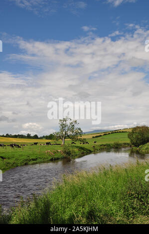 Fiume Eden, grande Ormside 3, Cumbria Foto Stock