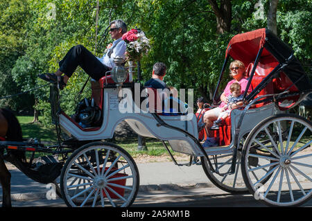 Uno dei molti cavallo & Carriages lavoro in Central Park di New York. Foto Stock