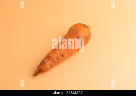 Carota organico nel fango su sfondo beige,non sbucciate le carote dolce sulla superficie,giovane carote dal giardino in stile minimalista,vitamine Foto Stock